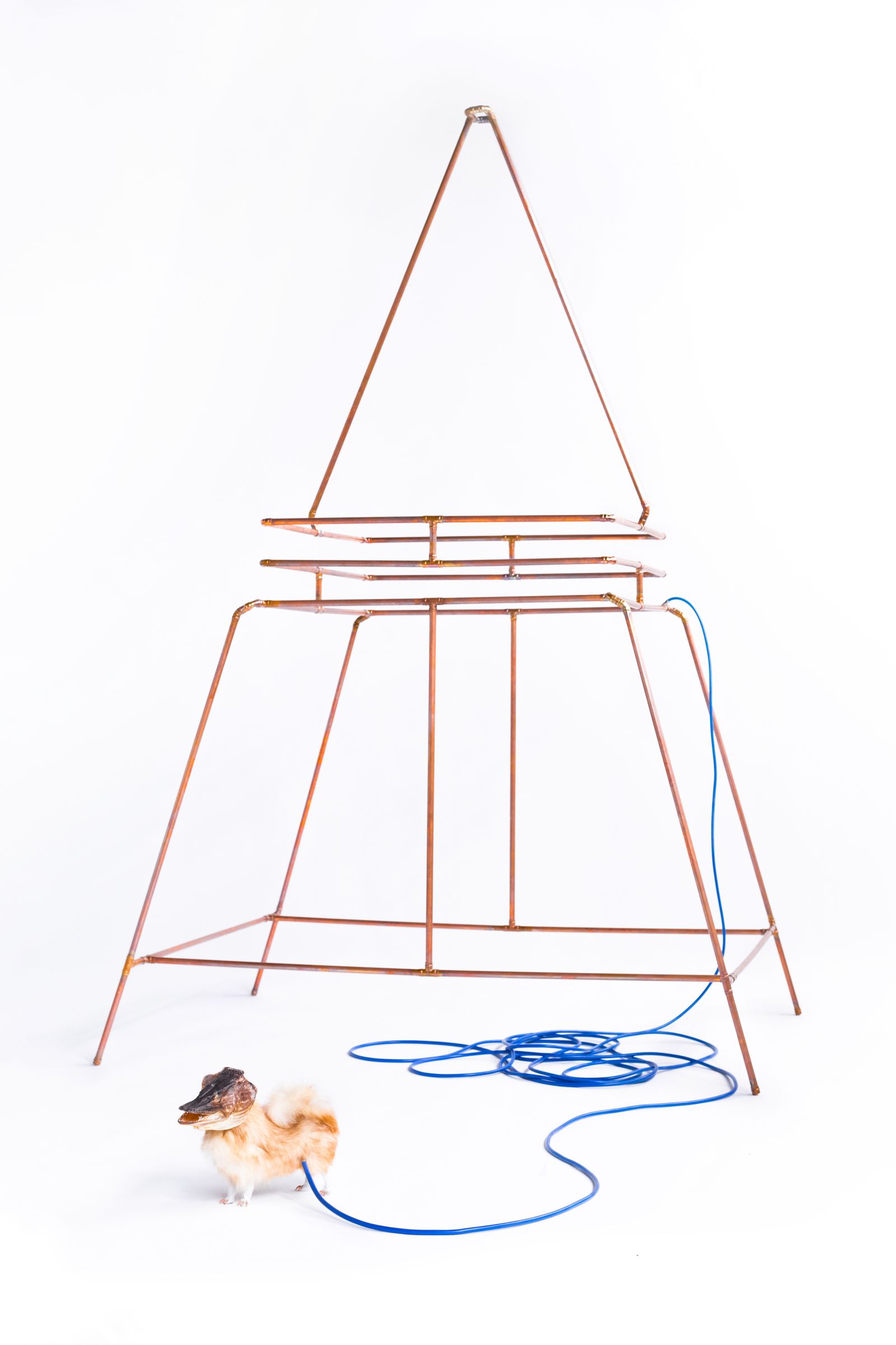 a tall pyramid-shaped copper tube sculpture with a small taxidermied dog and a blue cable that connects the two