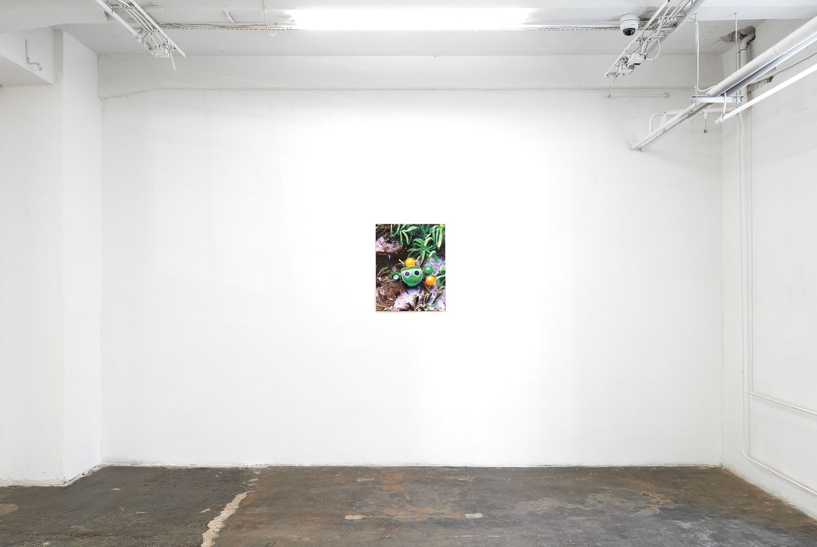 a gallery space with a print on a white wall, the print shows a broken toy-like creature lying in shrubs
